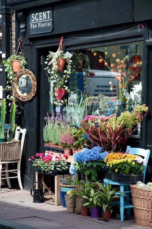 夢想中的花店應該是什麼(me)樣 成(chéng)都(dōu)裝修公司推薦排名